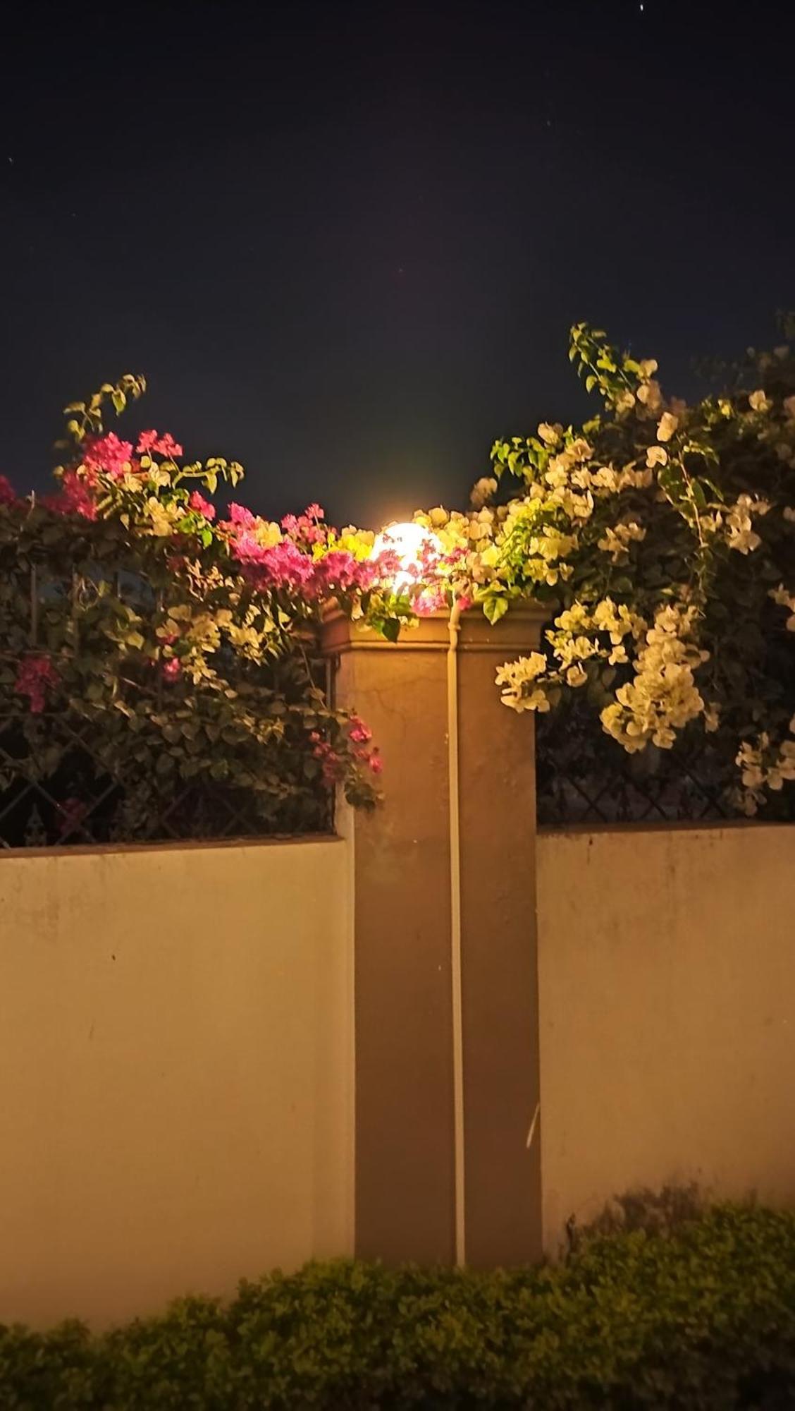 Guest house Shree Nanda