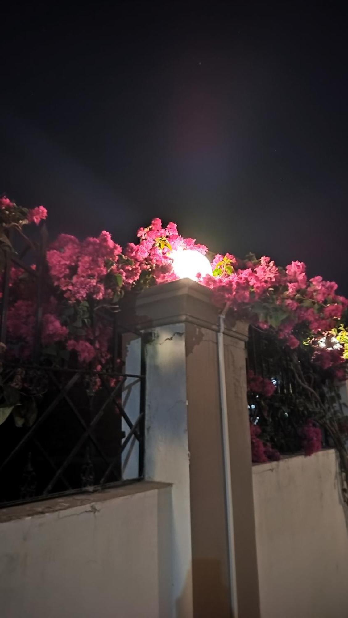 Shree Nanda Varanasi
